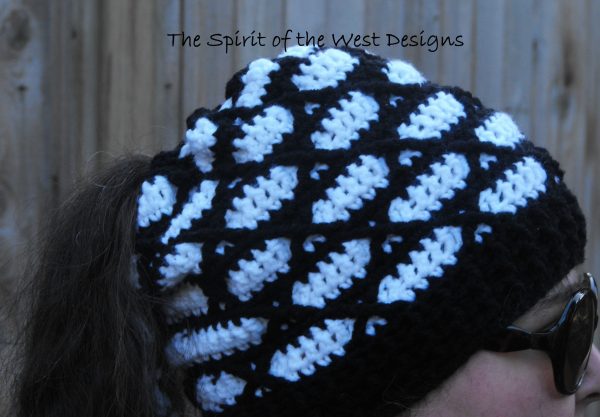 Pony Tail Hat, 3 in one cowl, messy bun hat, messy hair hat, Crochet Hat Pattern, spring garden Hat Pattern, family sizing, infant hat, toddler hat, teen hat, adult hat, adult beanie, crochet pattern, striped hat pattern, wool hat, acrylic yarn, variegated yarn, spirit of the west designs